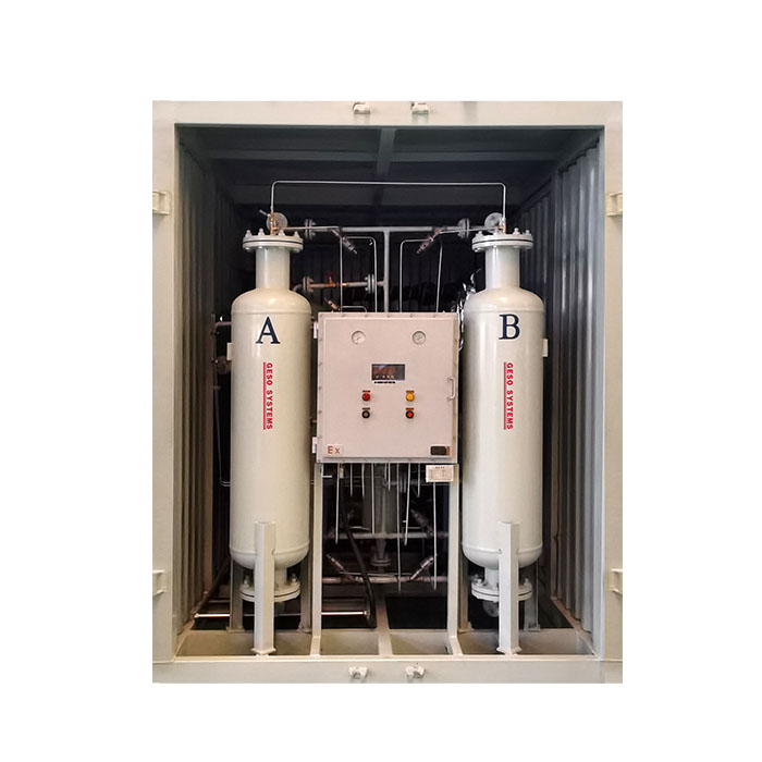 GSNB系列（PSA）集裝箱制氮機(jī)